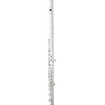 Eastman EFL420 Series Flute