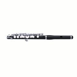Haynes Amadeus AP-86 Piccolo