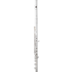 Eastman EFL520 Series Flute