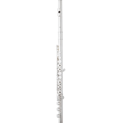 Eastman EFL420 Series Flute